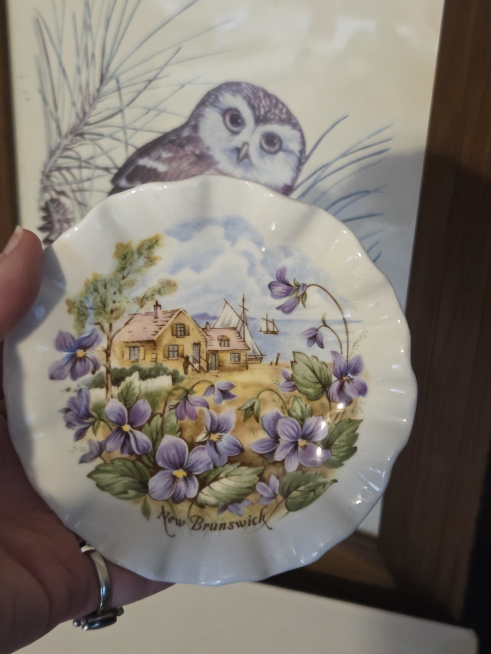 New Brunswick Floral Decorative Collector Plate - Purple Violets